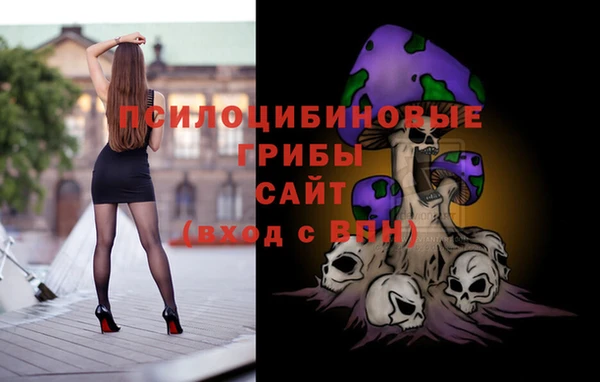 сатива Алексеевка