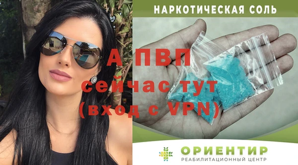 apvp Алзамай