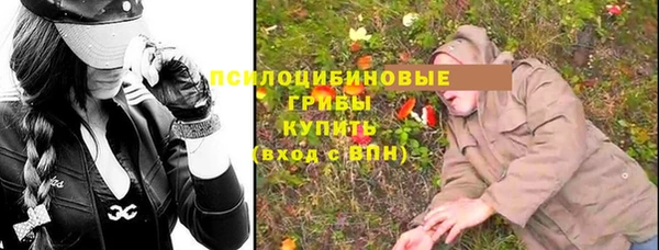 сатива Алексеевка