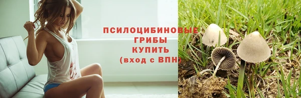 кокаин колумбия Алексин